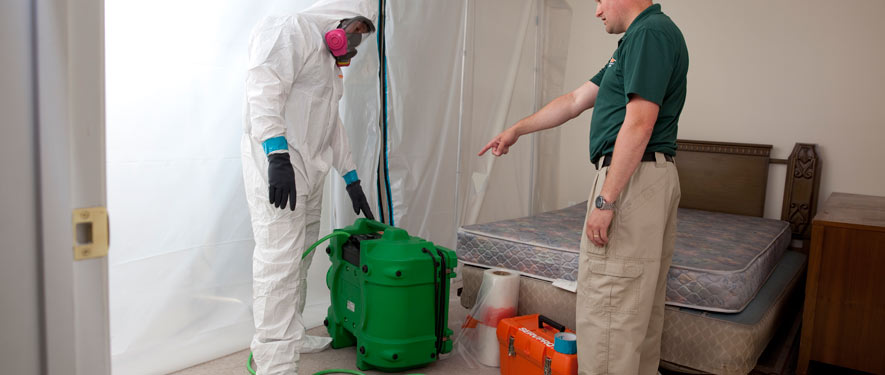 Cleveland, TX mold removal process